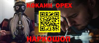 гидропоника Пенза